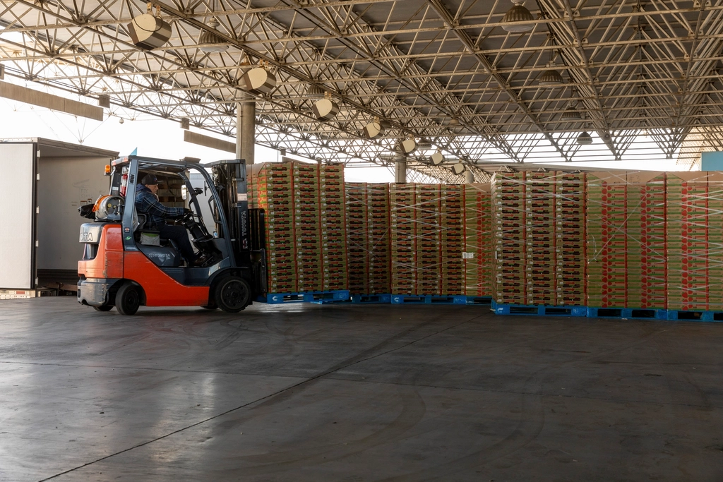 Warehouse aisles with organized inventory